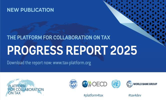 Platform for Collaboration on Tax Progress Report 2025