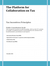 Public Consultation on Tax Incentives Principles